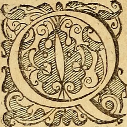 An illustration from Tychonis Brahe Dani Epistolarvm astronomicarvm libri., 1596, leaf 11
