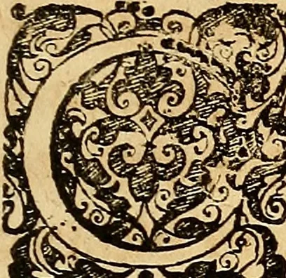 An illustration from Tychonis Brahe Dani Epistolarvm astronomicarvm libri., 1596, leaf 28