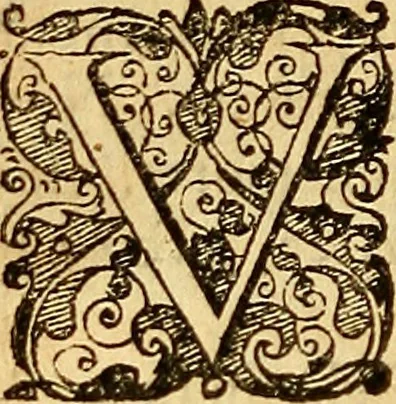 An illustration from Tychonis Brahe Dani Epistolarvm astronomicarvm libri., 1596, leaf 315