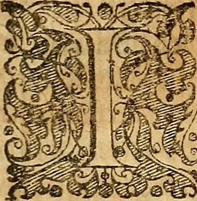 An illustration from Tychonis Brahe Dani Epistolarvm astronomicarvm libri., 1596, leaf 350