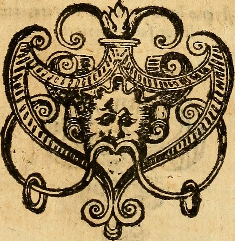An illustration from Tychonis Brahe Dani Epistolarvm astronomicarvm libri., 1596, leaf 352