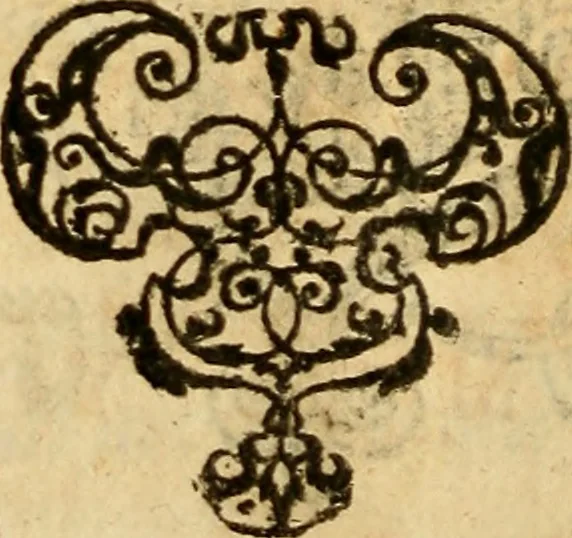 An illustration from Tychonis Brahe Dani Epistolarvm astronomicarvm libri., 1596, leaf 353