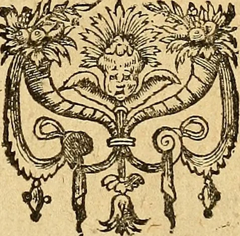 An illustration from Tychonis Brahe Dani Epistolarvm astronomicarvm libri., 1596, leaf 4
