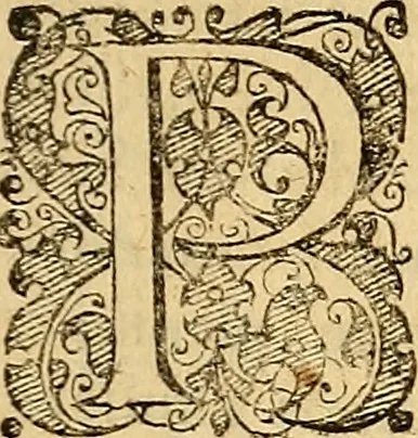 An illustration from Tychonis Brahe Dani Epistolarvm astronomicarvm libri., 1596, leaf 56