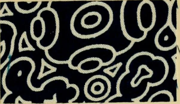 An illustration from Typfarben auf Baumwolle : gedruckt und geätzt = Standard colours on cotton : printed and discharged, 1900, leaf 14