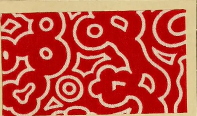 An illustration from Typfarben auf Baumwolle : gedruckt und geätzt = Standard colours on cotton : printed and discharged, 1900, leaf 18