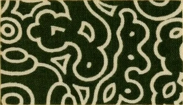 An illustration from Typfarben auf Baumwolle : gedruckt und geätzt = Standard colours on cotton : printed and discharged, 1900, leaf 26