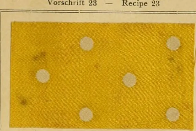 An illustration from Typfarben auf Baumwolle : gedruckt und geätzt = Standard colours on cotton : printed and discharged, 1900, leaf 28