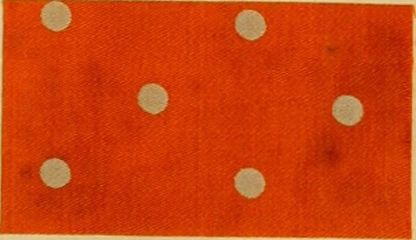 An illustration from Typfarben auf Baumwolle : gedruckt und geätzt = Standard colours on cotton : printed and discharged, 1900, leaf 28