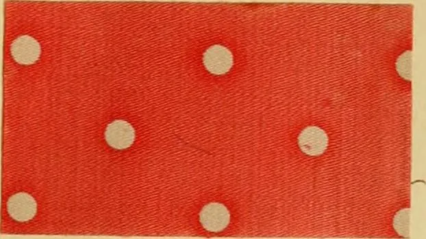An illustration from Typfarben auf Baumwolle : gedruckt und geätzt = Standard colours on cotton : printed and discharged, 1900, leaf 28
