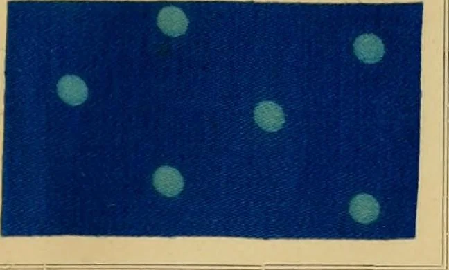 An illustration from Typfarben auf Baumwolle : gedruckt und geätzt = Standard colours on cotton : printed and discharged, 1900, leaf 32