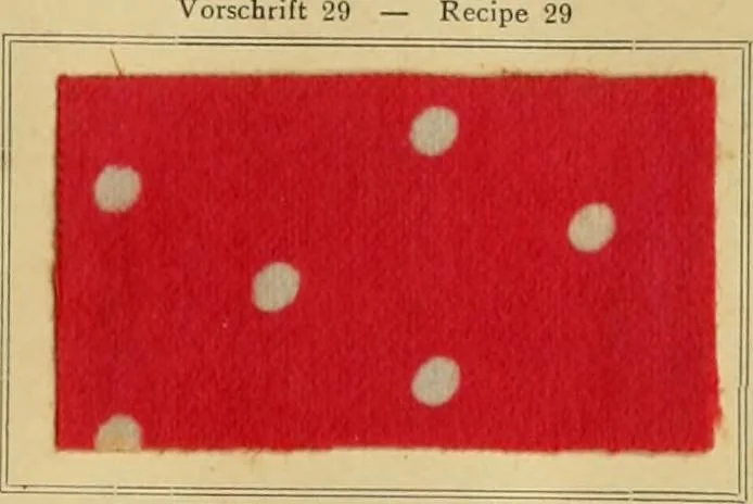 An illustration from Typfarben auf Baumwolle : gedruckt und geätzt = Standard colours on cotton : printed and discharged, 1900, leaf 38