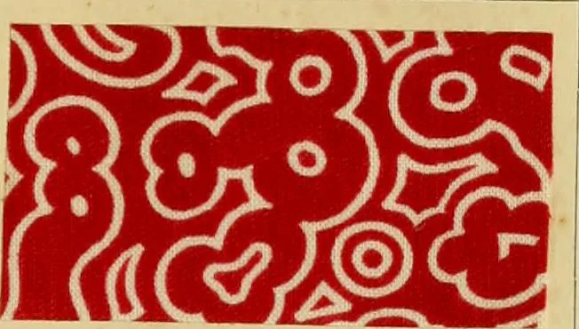 An illustration from Typfarben auf Baumwolle : gedruckt und geätzt = Standard colours on cotton : printed and discharged, 1900, leaf 48