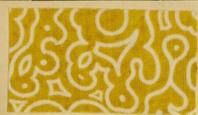 An illustration from Typfarben auf Baumwolle : gedruckt und geätzt = Standard colours on cotton : printed and discharged, 1900, leaf 6