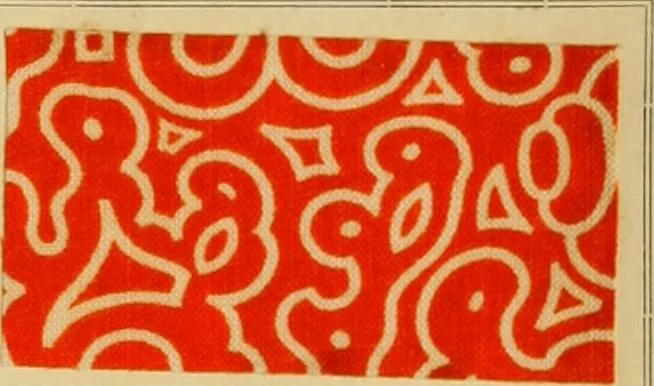 An illustration from Typfarben auf Baumwolle : gedruckt und geätzt = Standard colours on cotton : printed and discharged, 1900, leaf 62