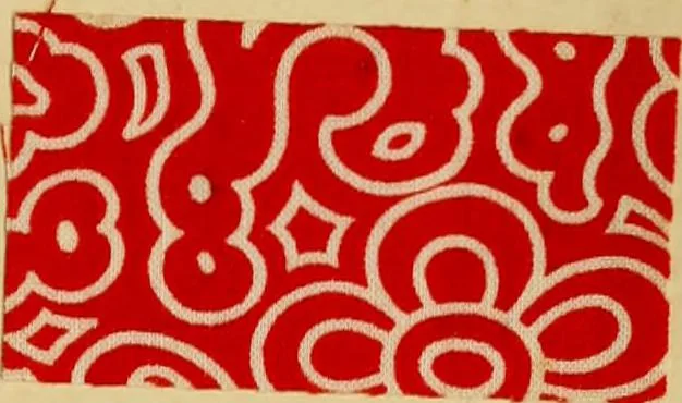 An illustration from Typfarben auf Baumwolle : gedruckt und geätzt = Standard colours on cotton : printed and discharged, 1900, leaf 64