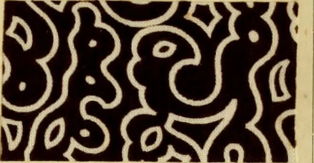 An illustration from Typfarben auf Baumwolle : gedruckt und geätzt = Standard colours on cotton : printed and discharged, 1900, leaf 66