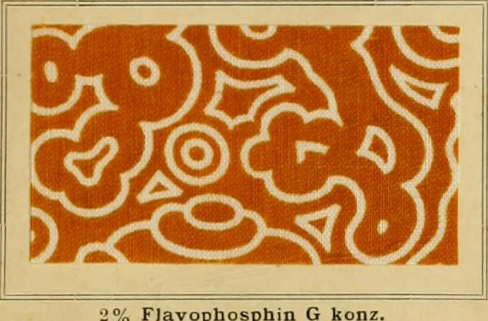 An illustration from Typfarben auf Baumwolle : gedruckt und geätzt = Standard colours on cotton : printed and discharged, 1900, leaf 8
