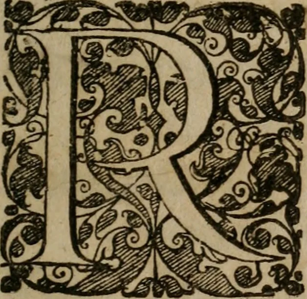 An illustration from Typicus hieropolitarcha, in antitypo expressus, anno Christi eodem : quo Theodorus Adolphus Paderbornensis Antistes XXXXVI a suis rite inauguratus ista sua exhibebat insignia, 1651, leaf 10