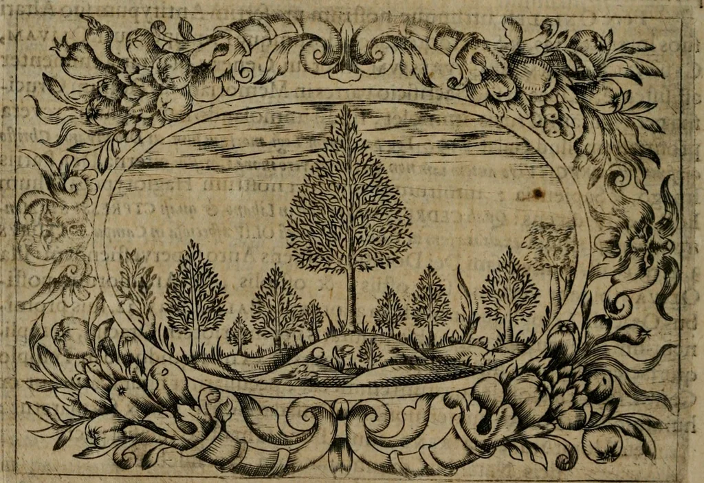 An illustration from Typicus hieropolitarcha, in antitypo expressus, anno Christi eodem : quo Theodorus Adolphus Paderbornensis Antistes XXXXVI a suis rite inauguratus ista sua exhibebat insignia, 1651, leaf 127