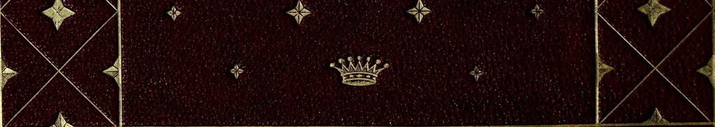 An illustration from Typicus hieropolitarcha, in antitypo expressus, anno Christi eodem : quo Theodorus Adolphus Paderbornensis Antistes XXXXVI a suis rite inauguratus ista sua exhibebat insignia, 1651, leaf 135