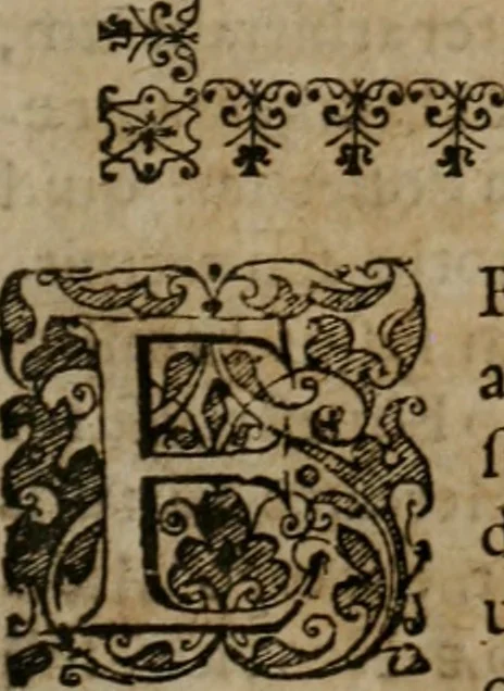 An illustration from Typicus hieropolitarcha, in antitypo expressus, anno Christi eodem : quo Theodorus Adolphus Paderbornensis Antistes XXXXVI a suis rite inauguratus ista sua exhibebat insignia, 1651, leaf 14