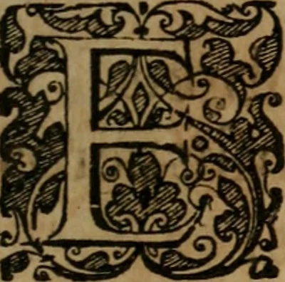 An illustration from Typicus hieropolitarcha, in antitypo expressus, anno Christi eodem : quo Theodorus Adolphus Paderbornensis Antistes XXXXVI a suis rite inauguratus ista sua exhibebat insignia, 1651, leaf 28