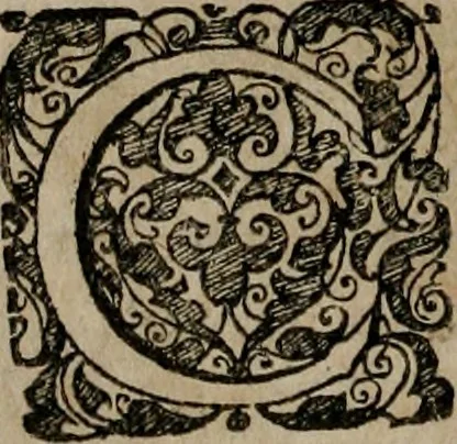 An illustration from Typicus hieropolitarcha, in antitypo expressus, anno Christi eodem : quo Theodorus Adolphus Paderbornensis Antistes XXXXVI a suis rite inauguratus ista sua exhibebat insignia, 1651, leaf 37