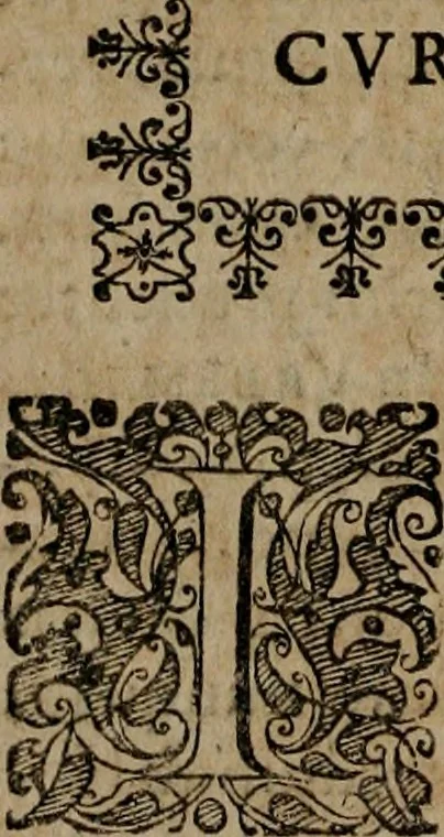 An illustration from Typicus hieropolitarcha, in antitypo expressus, anno Christi eodem : quo Theodorus Adolphus Paderbornensis Antistes XXXXVI a suis rite inauguratus ista sua exhibebat insignia, 1651, leaf 43