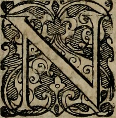 An illustration from Typicus hieropolitarcha, in antitypo expressus, anno Christi eodem : quo Theodorus Adolphus Paderbornensis Antistes XXXXVI a suis rite inauguratus ista sua exhibebat insignia, 1651, leaf 49
