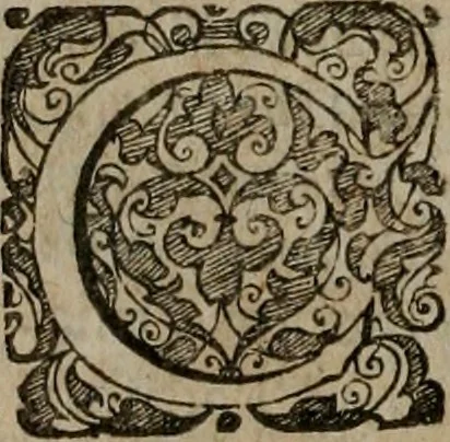 An illustration from Typicus hieropolitarcha, in antitypo expressus, anno Christi eodem : quo Theodorus Adolphus Paderbornensis Antistes XXXXVI a suis rite inauguratus ista sua exhibebat insignia, 1651, leaf 55