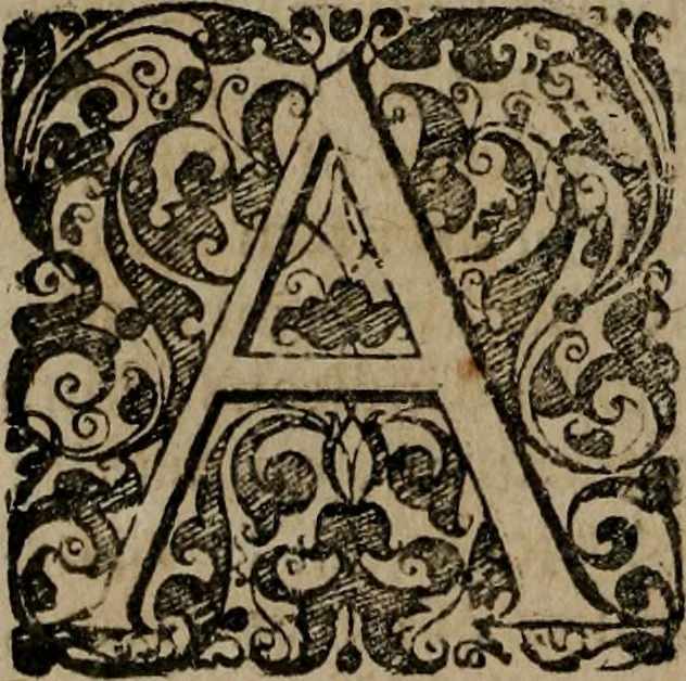 An illustration from Typicus hieropolitarcha, in antitypo expressus, anno Christi eodem : quo Theodorus Adolphus Paderbornensis Antistes XXXXVI a suis rite inauguratus ista sua exhibebat insignia, 1651, leaf 57