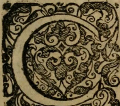 An illustration from Typicus hieropolitarcha, in antitypo expressus, anno Christi eodem : quo Theodorus Adolphus Paderbornensis Antistes XXXXVI a suis rite inauguratus ista sua exhibebat insignia, 1651, leaf 96
