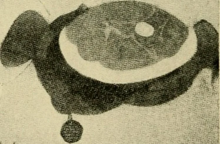 An illustration from The typography of advertisements that pay : how to choose and combine type faces, engravings and all the other mechanical elements of modern advertisement construction, 1917, leaf 173