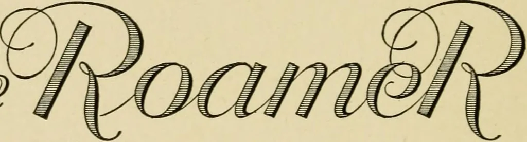 An illustration from The typography of advertisements that pay : how to choose and combine type faces, engravings and all the other mechanical elements of modern advertisement construction, 1917, leaf 197