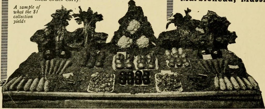 An illustration from The typography of advertisements that pay : how to choose and combine type faces, engravings and all the other mechanical elements of modern advertisement construction, 1917, leaf 247