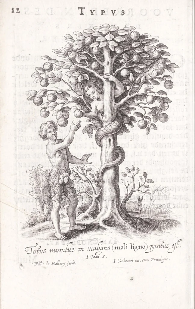 An illustration from Typus mundi, in quo eius calamitates et pericula nec non diuini, humanique amoris antipathia emblematice proponuntur, 1627, leaf 20