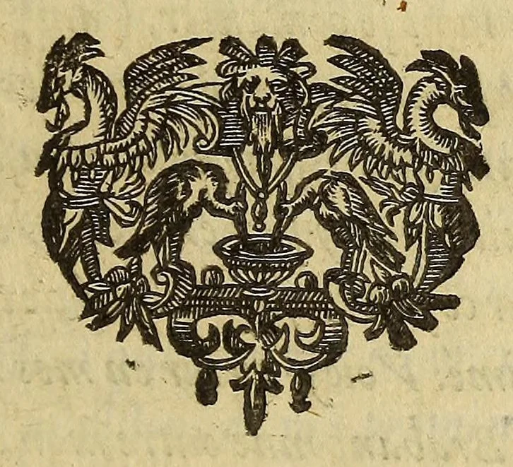 An illustration from Tyrannies et cruautez des Espagnols, commises es Indes Occidentales, qu'on dit le nouueau monde., 1630, leaf 199