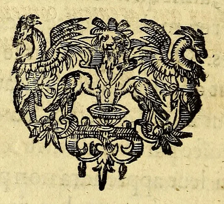 An illustration from Tyrannies et cruautez des Espagnols, commises es Indes Occidentales, qu'on dit le nouueau monde., 1630, leaf 20