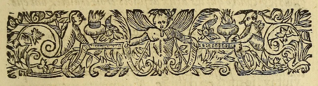 An illustration from Tyrannies et cruautez des Espagnols, commises es Indes Occidentales, qu'on dit le nouueau monde., 1630, leaf 203