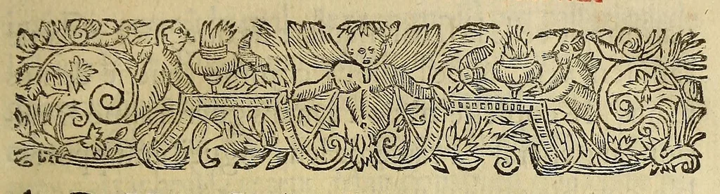 An illustration from Tyrannies et cruautez des Espagnols, commises es Indes Occidentales, qu'on dit le nouueau monde., 1630, leaf 9