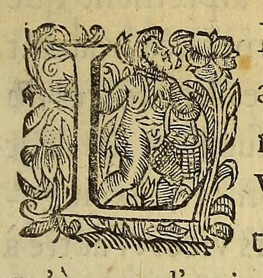 An illustration from Tyrannies et cruautez des Espagnols, commises es Indes Occidentales, qu'on dit le nouueau monde., 1630, leaf 9