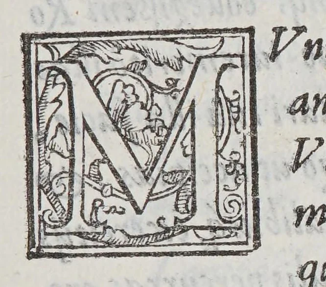 An illustration from Tyrociniorum, 1578, leaf 7