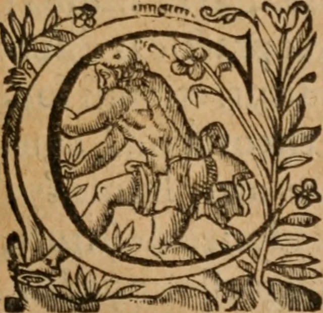 An illustration from Tyrocinivm chymicvm recognitvm et avctum, 1612, leaf 20