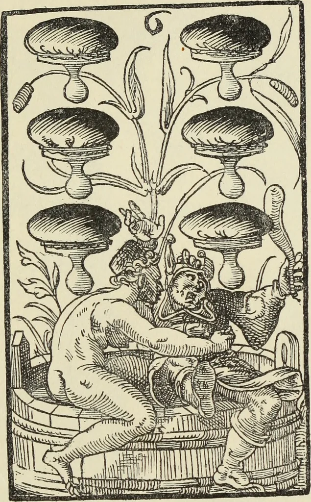 An illustration from Ueber den Humor bei den deutschen Kupferstechern und Holzschnittkunstlern des 16. Jahrhunderts, 1897, leaf 106