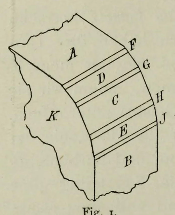 An illustration from Ueber Harmonie und Complication, 1901, leaf 14