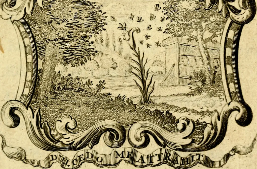 An illustration from Uitbreiding, over honderd leerzaame zinnebeelden, 1722, leaf 8