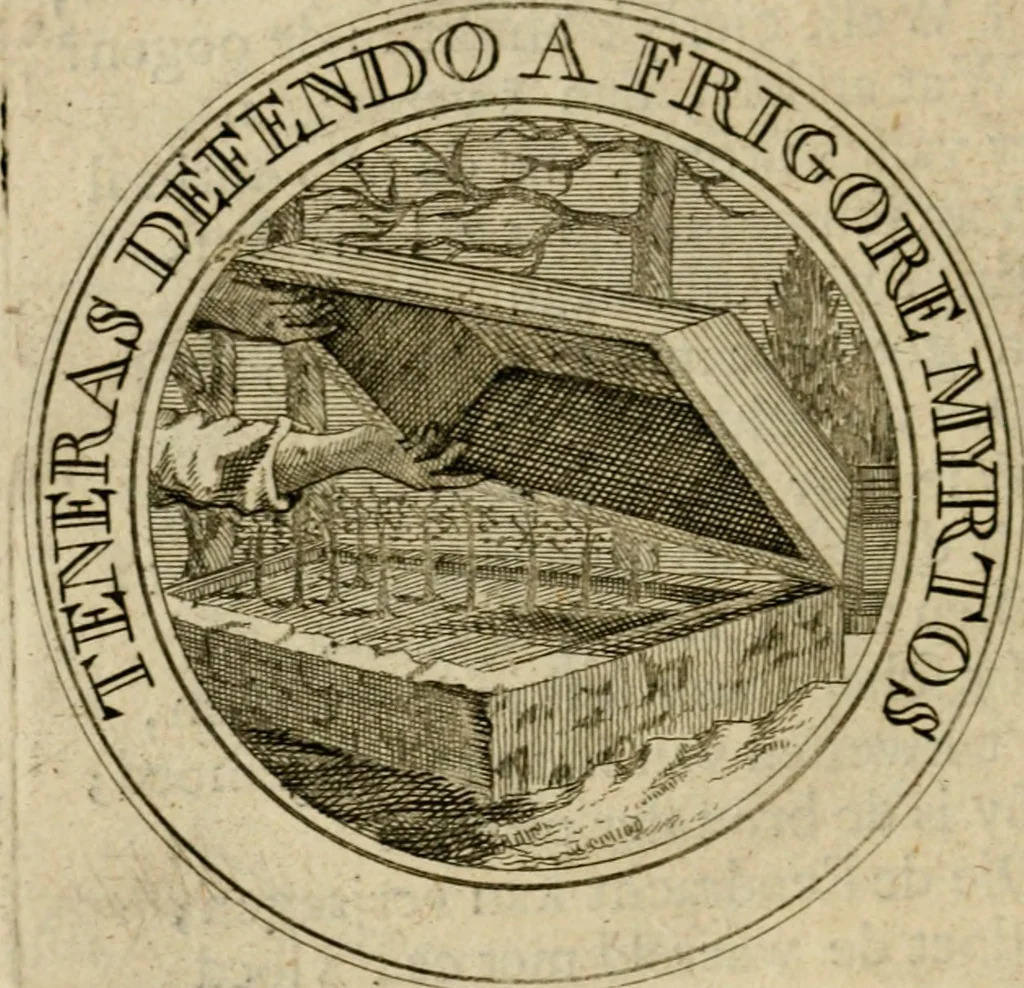 An illustration from Uitbreiding, over hondred leerzaame zinnebeelden, 1722, leaf 187
