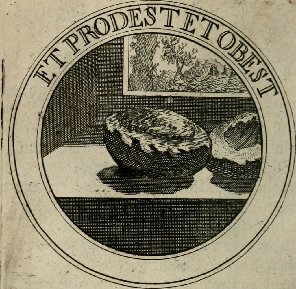 An illustration from Uitbreiding, over honderd leerzaame zinnebeelden, 1722, leaf 171