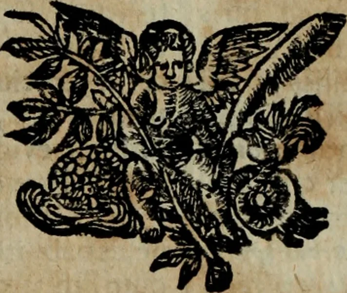 An illustration from Ulrici Huberi De jure civitatis, libri tres : novam juris publici universalis disciplinam continentes : insertis aliquot de jure sacrorum & Ecclesiae, capitibus, 1694, leaf 319